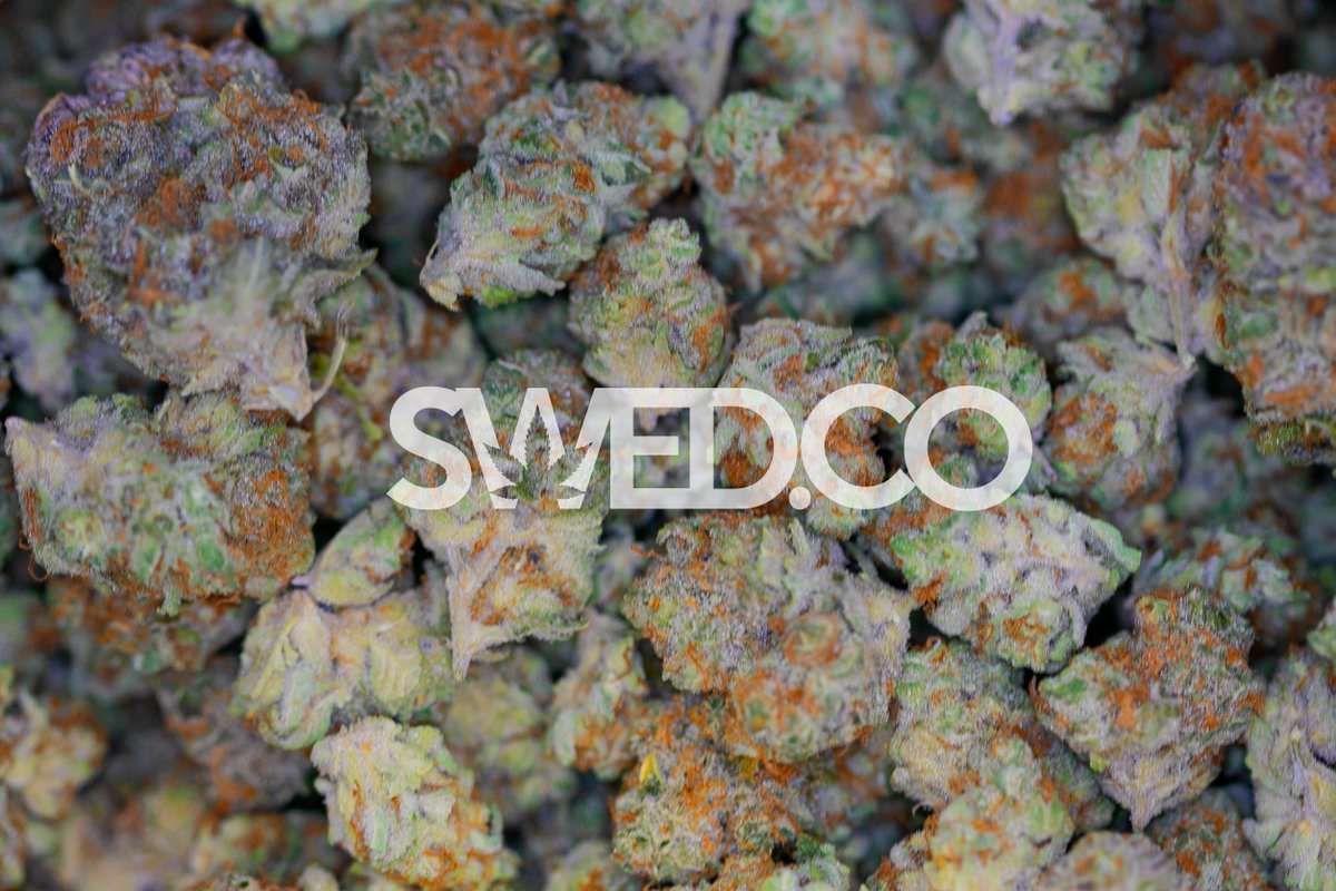 Swed_Co's tweet photo. Wappa is back! 
#smoke #weed #every #day #SWED #SWEDco https://t.co/RUEqvAB6Vx