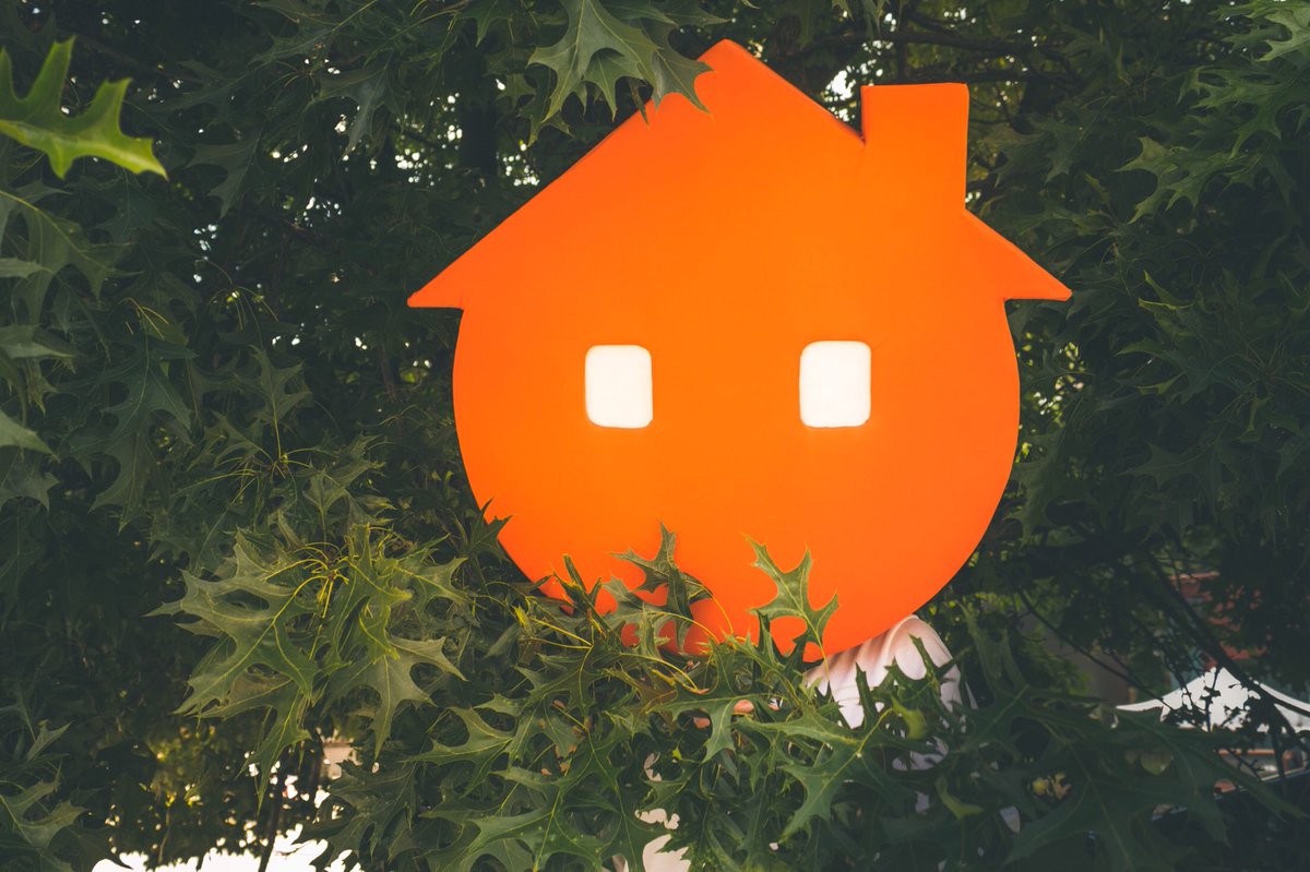 SpotsMobile's tweet image. From the City in a Forest to Electric Forest, every day is a festival! Tag the first person that comes to mind if you could take anyone to Electric Forest this year!