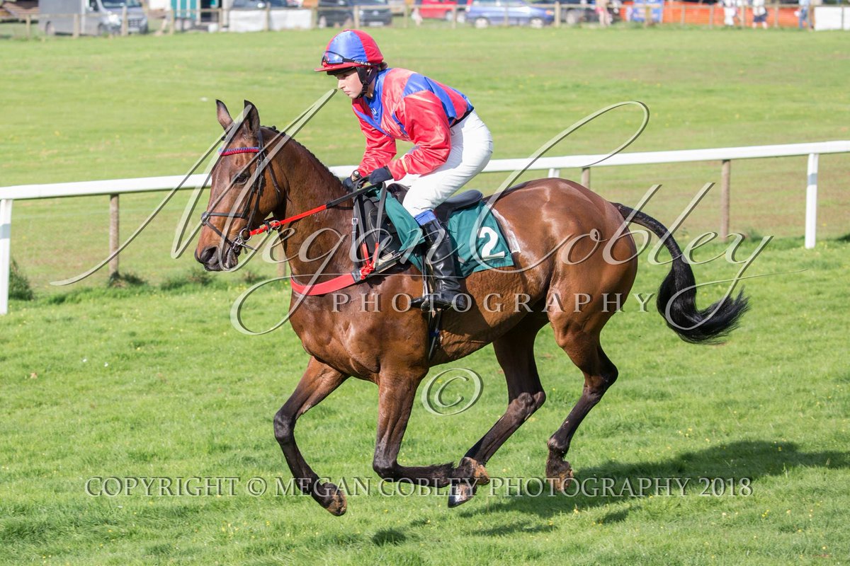 maria lewis tweet media