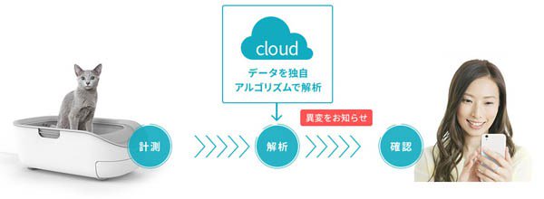 WirelessWire News tweet media