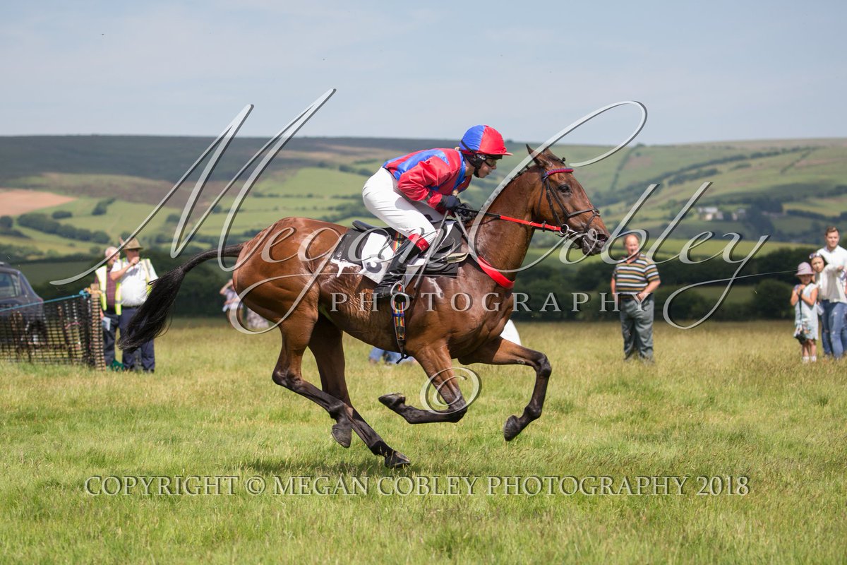 maria lewis tweet media