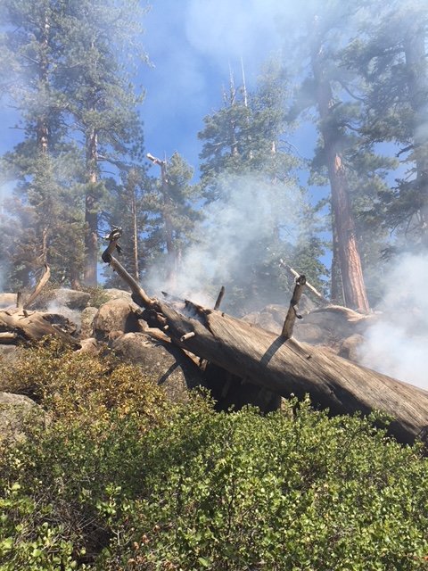 LakeTahoeUSFS's tweet photo. #LoganFire Update: More photos of #wildfire currently burning northwest of Genoa Peak, East Shore of #LakeTahoe. This lightning-caused fire is less than 1/4 of an acre, crews are on scene working to contain and no infrastructure is threatened. Follow @LakeTahoeUSFS for updates. https://t.co/cxPlqWVHqs