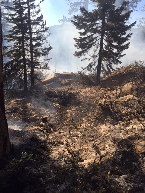 LakeTahoeUSFS's tweet photo. #LoganFire Update: More photos of #wildfire currently burning northwest of Genoa Peak, East Shore of #LakeTahoe. This lightning-caused fire is less than 1/4 of an acre, crews are on scene working to contain and no infrastructure is threatened. Follow @LakeTahoeUSFS for updates. https://t.co/cxPlqWVHqs