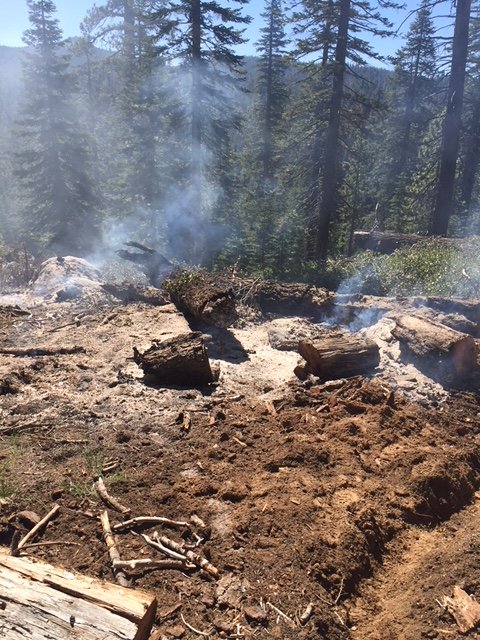 LakeTahoeUSFS's tweet photo. #LoganFire Update: More photos of #wildfire currently burning northwest of Genoa Peak, East Shore of #LakeTahoe. This lightning-caused fire is less than 1/4 of an acre, crews are on scene working to contain and no infrastructure is threatened. Follow @LakeTahoeUSFS for updates. https://t.co/cxPlqWVHqs
