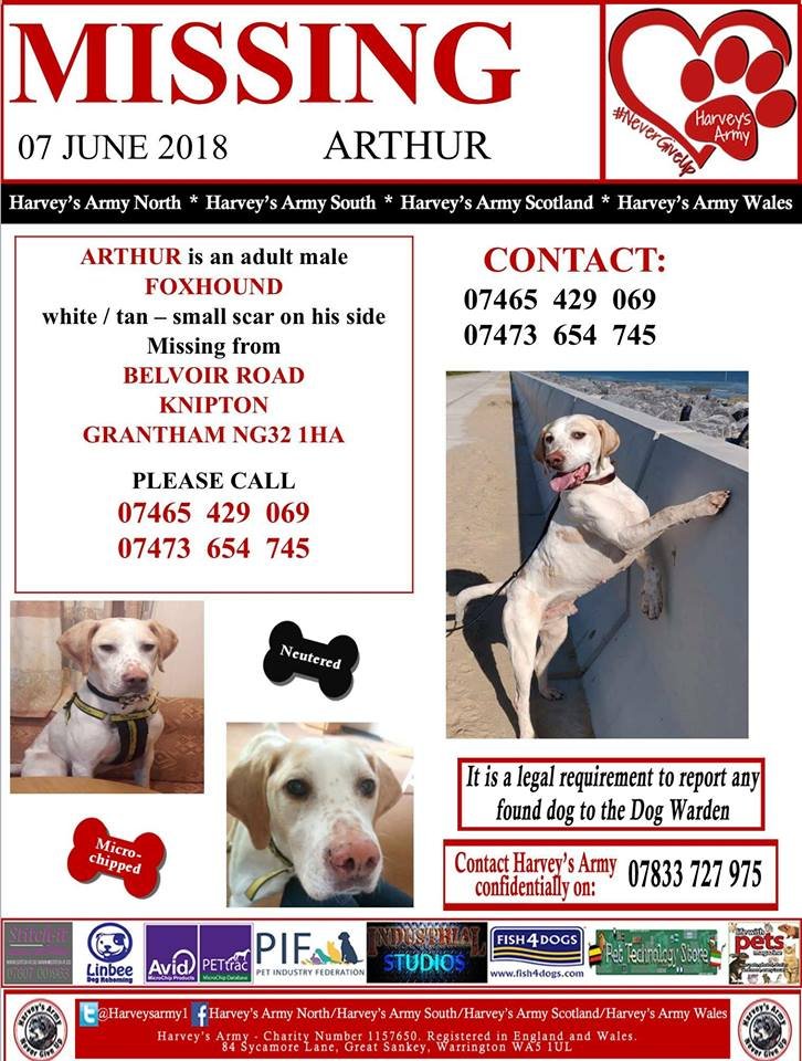 Baldwin432S's tweet image. @FindTheLostDogs