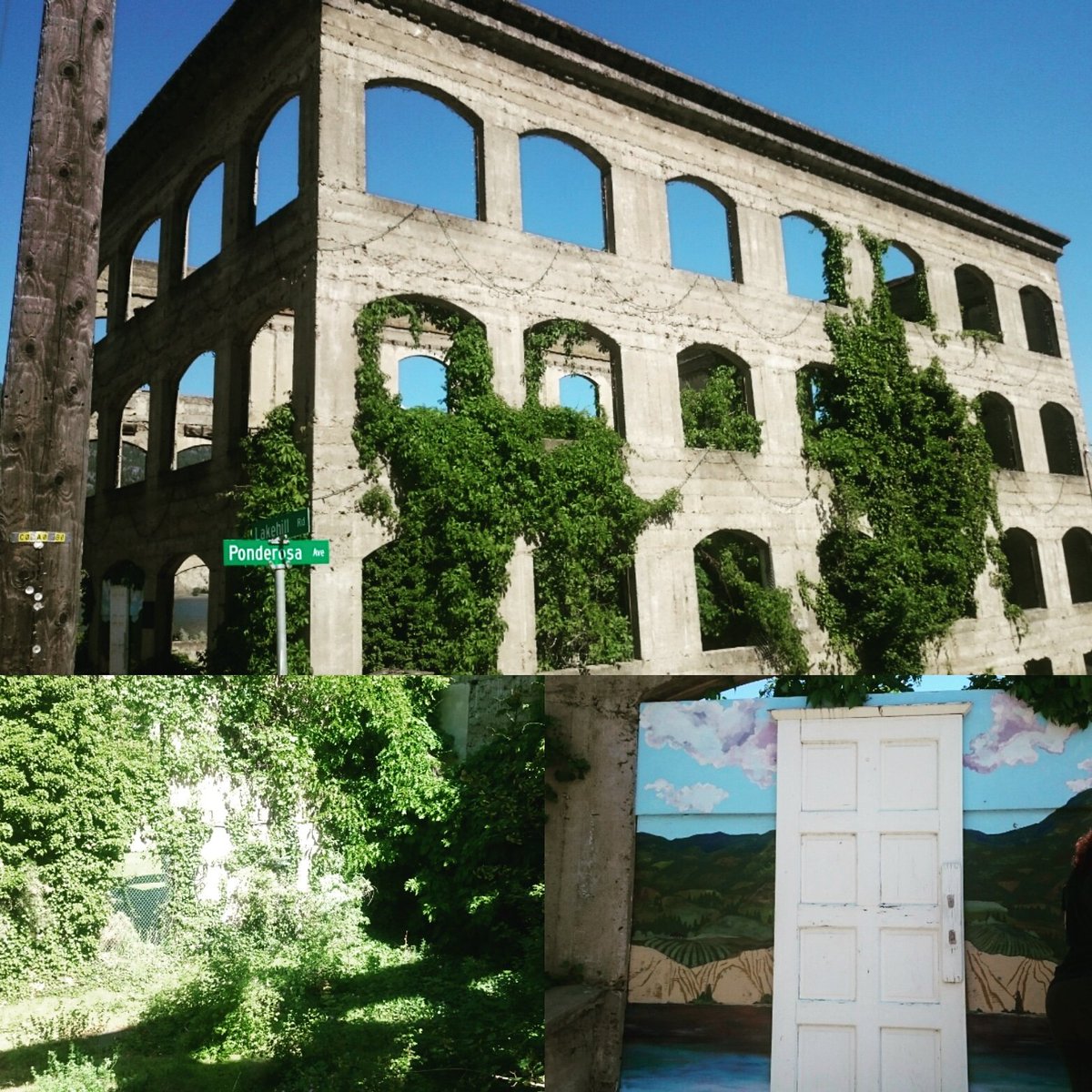 GallagherLake's tweet photo. While #driving around #Kaleden we came upon the #ruins of the #kaledenhotel1912 near the edge of #skahalake. The ruins are over #100yearsold and all that remains of an #old #famous 26-room #hotel. It's also a #popular site for #wedding #photos!
#historical #Okanagan #sundaydrive https://t.co/tfShWLmWoj