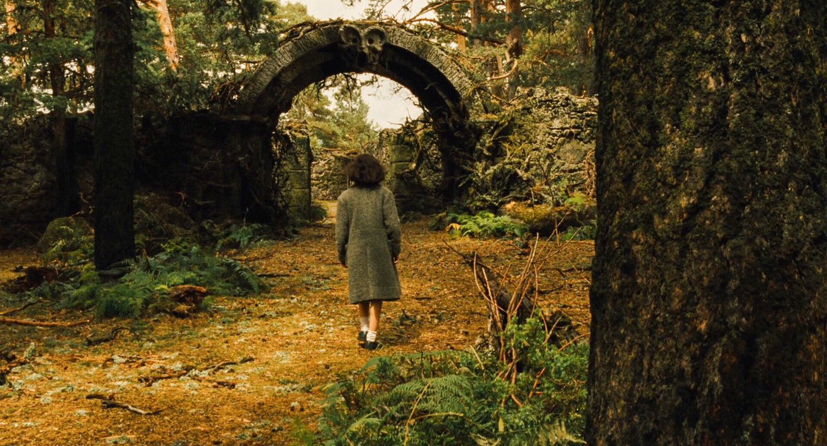 Cinemartistry's tweet photo. Pan's Labyrinth (2006) 
Director: Guillermo Del Toro 
Cinematographer: Guillermo Navarro https://t.co/vBc1tlb0hr