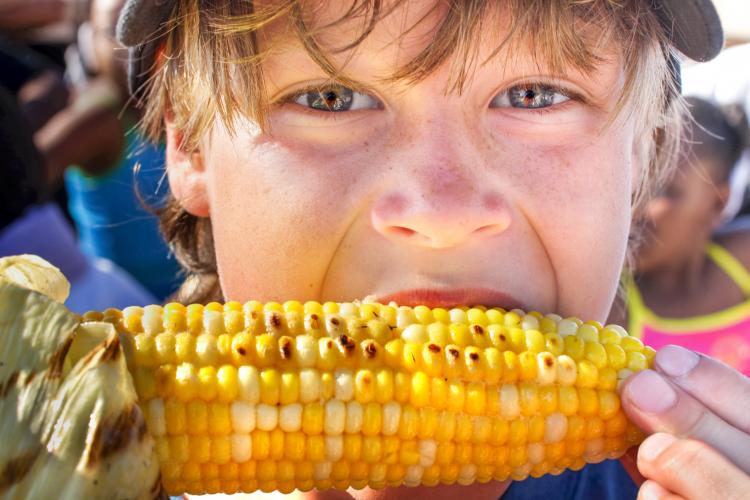 Staples_Jobs's tweet photo. Did you know that today is national corn on the cob day! Enjoy! https://t.co/7puoe1KfHW