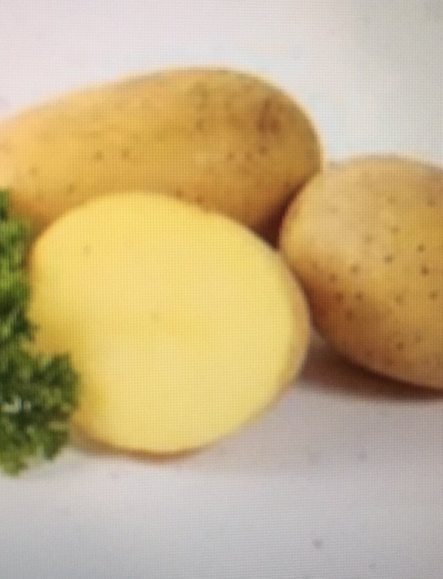 StrandcafeB's tweet photo. Schwerpunktmäßig, hatte ich mit der Spülmaschine zu tun *** Oder: bringt Euren Kindern wieder das Kartoffelschälen bei!!!! https://t.co/pyHIvUrvej https://t.co/5WQi8sEAvV