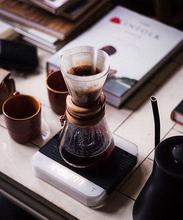 AlternBrewing's tweet photo. Brewing the Three Cup Chemex Coffee Maker, Perfect | Shop Chemex👉 Link in Bio
📷by @virginia_native
#blackcoffee #aeropress #pourover #chemex #hario #espresso #specialtycoffee #melbournecoffee #brisbanecoffee #coffeesesh #cafe #sydneycoffee #coffeebe… https://t.co/Dfi6LnNGQO https://t.co/MDDrrxnlDa