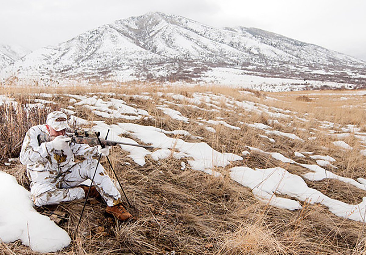 HuntingMag's tweet photo. We compared five rifles best for chasing the chasers: https://t.co/YY8V0VEhSM | #PetersensHunting #HuntingMag #hunting #AdventureHunting #PredatorHunting #CoyoteHunting #FoxHunting #BobcatHunting https://t.co/y8ono6Pc1R