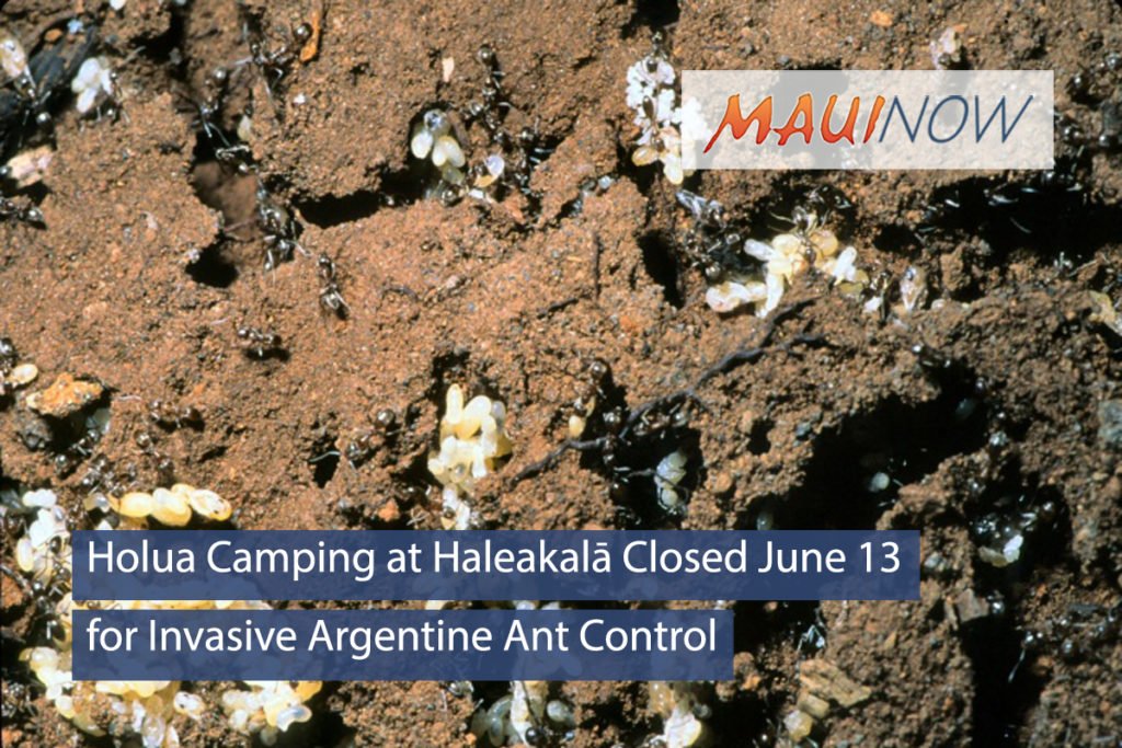 Friends of Haleakalā (FriendsofHALE) Twitter