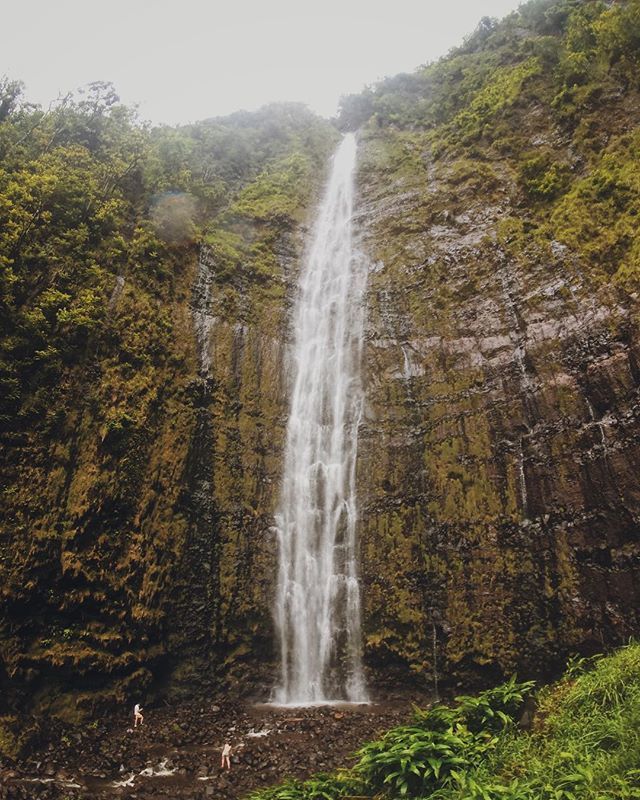 Did the road to Hana on our last day. Enjoyed it. It wasn't busy and a nice break from the beach. Did a couple hikes. Including up to Waimoku Falls. 4 miles round trip on a super muddy trail with Lev. #waimokufalls #momentwide ift.tt/2y5yNpY
