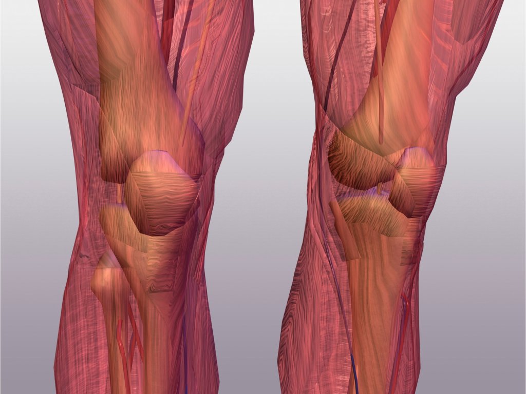 WebMD tweet picture