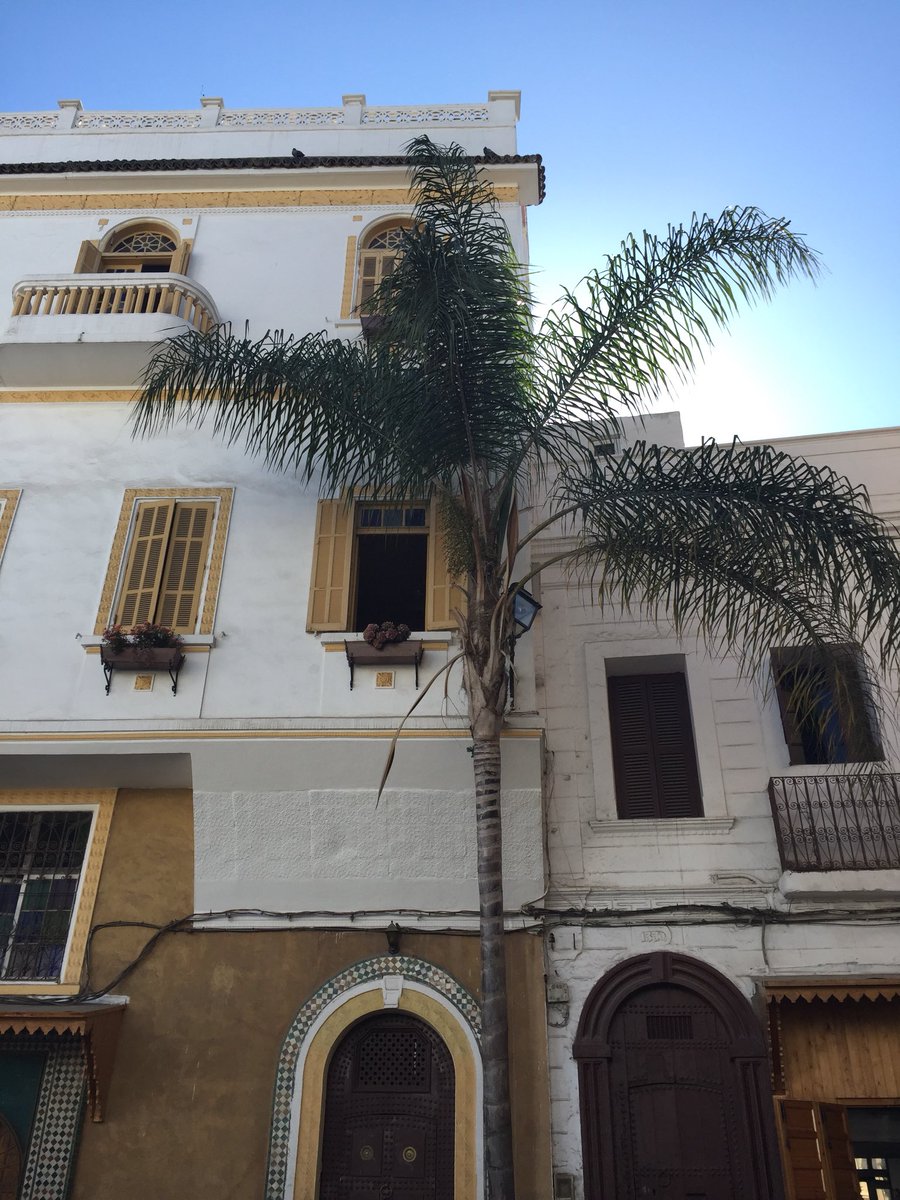 EMStrasbourgBS's tweet photo. Today, @EMStrasbourgBS is in Morocco π²π¦ to interview our futur Bachelor in International Business and PGE studentβs. Next stop ? Tunis πΉπ³ @PWadmissions #readyforEM https://t.co/X7fncUOjEK