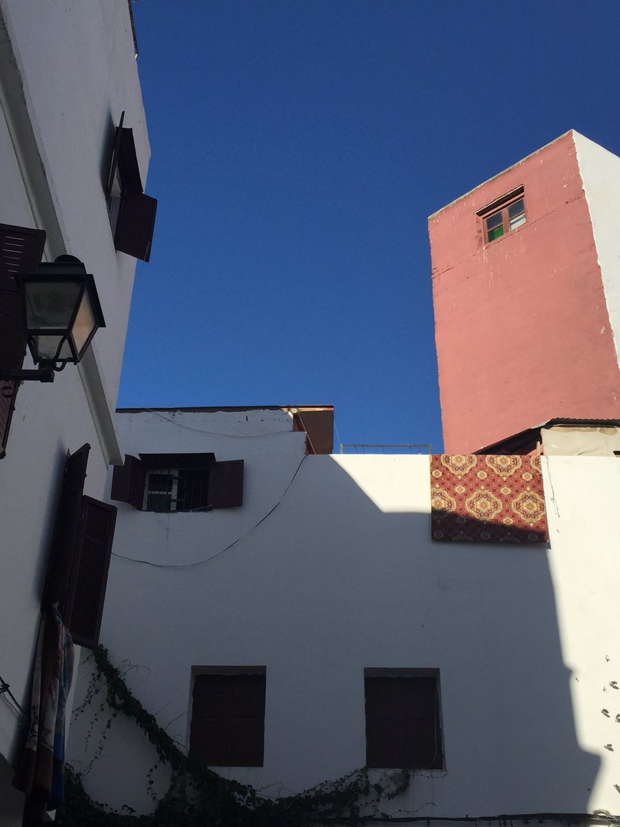 EMStrasbourgBS's tweet photo. Today, @EMStrasbourgBS is in Morocco π²π¦ to interview our futur Bachelor in International Business and PGE studentβs. Next stop ? Tunis πΉπ³ @PWadmissions #readyforEM https://t.co/X7fncUOjEK