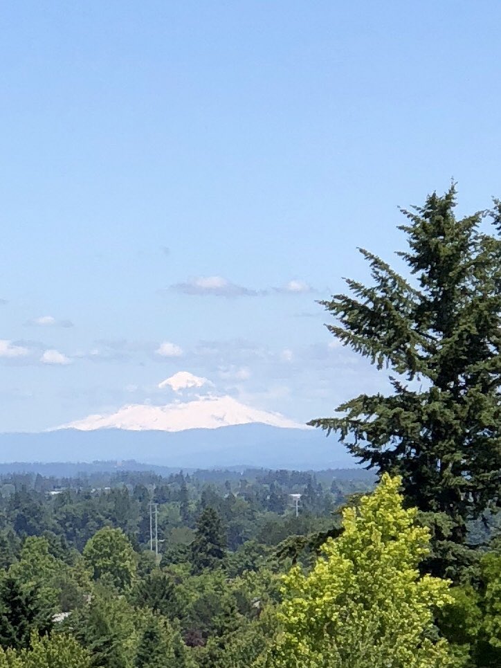 oregoncorkdork's tweet photo. Hey Mt. Hood! It’s great to see you again! #mthood #themountainisout #pnwonderland #pnw #oregonisawesome #oregonviews #oregonmountains #viewsfromthepickupline https://t.co/L9U2eO6Uqj