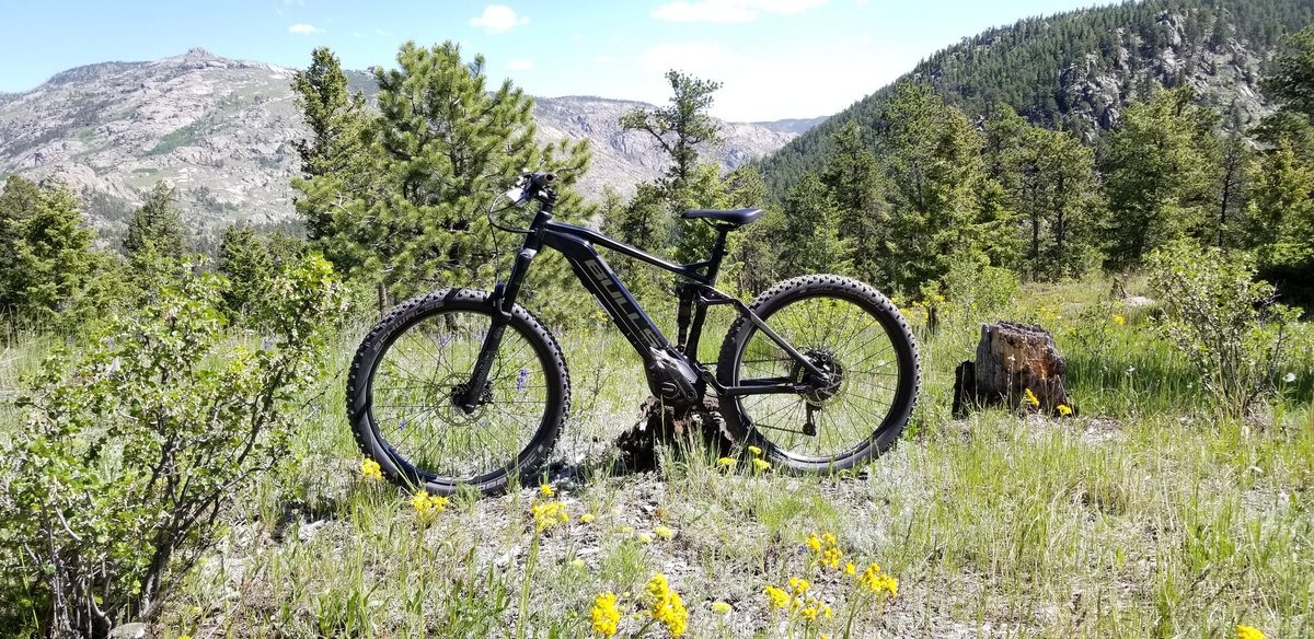 BULLS_eBIKES's tweet photo. What are you getting your dad for Father's Day? The brand new E-Core Di2 FS offers best-in-class power &amp; lightning-fast shifting. #ecoredi2 #bullsebikes #shimano #HornsUp https://t.co/uLi2Ua8Cli