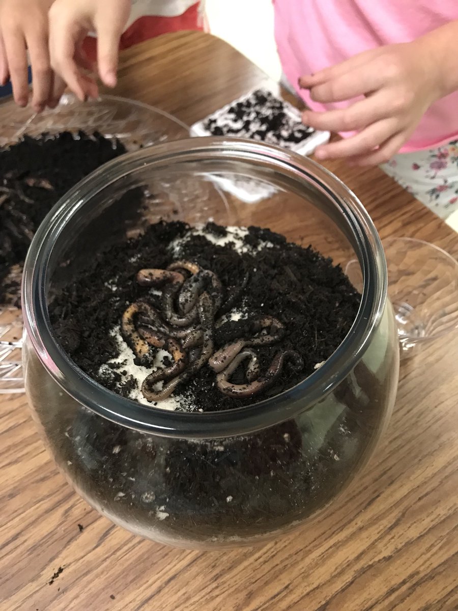 AmandaAmnicks's tweet photo. Our first day of R2BR summer camp was a huge success! @sbes_bobcats #Read2BeReady https://t.co/PAICVUtcFc