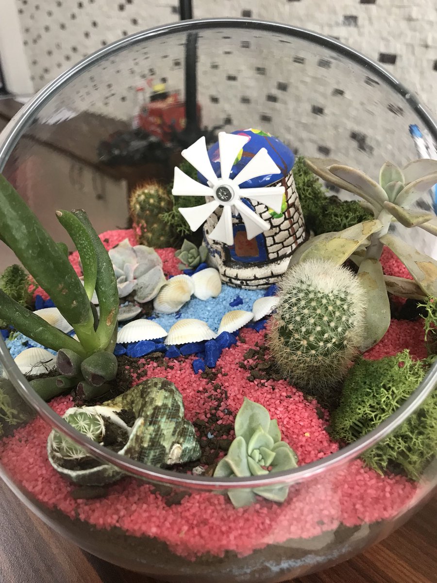 ikizmoss's tweet photo. #artpine #terramoos #greenmoos #graumoos #decorative #dekorasyon https://t.co/iP17EV3Utx