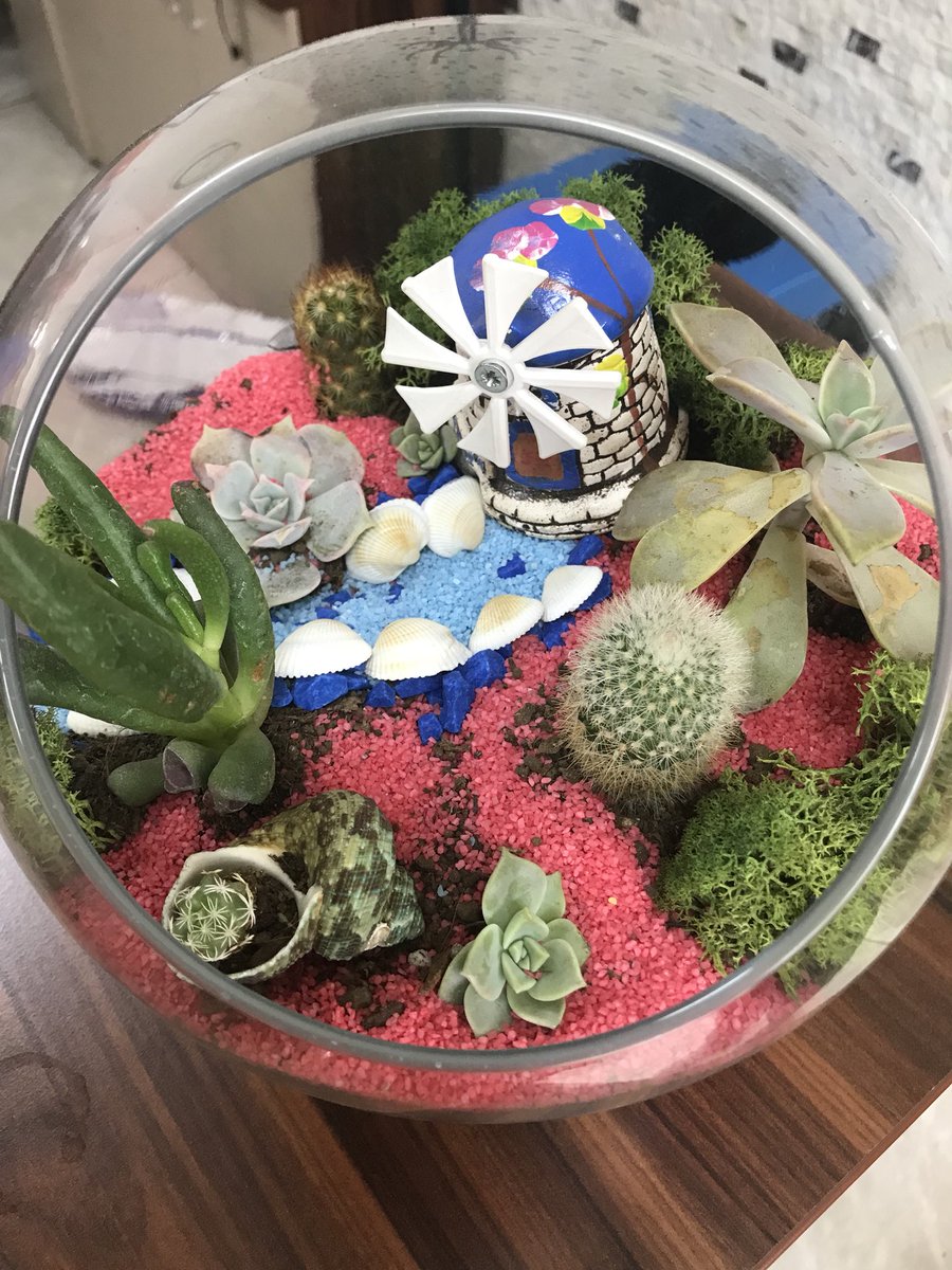 ikizmoss's tweet photo. #artpine #terramoos #greenmoos #graumoos #decorative #dekorasyon https://t.co/iP17EV3Utx