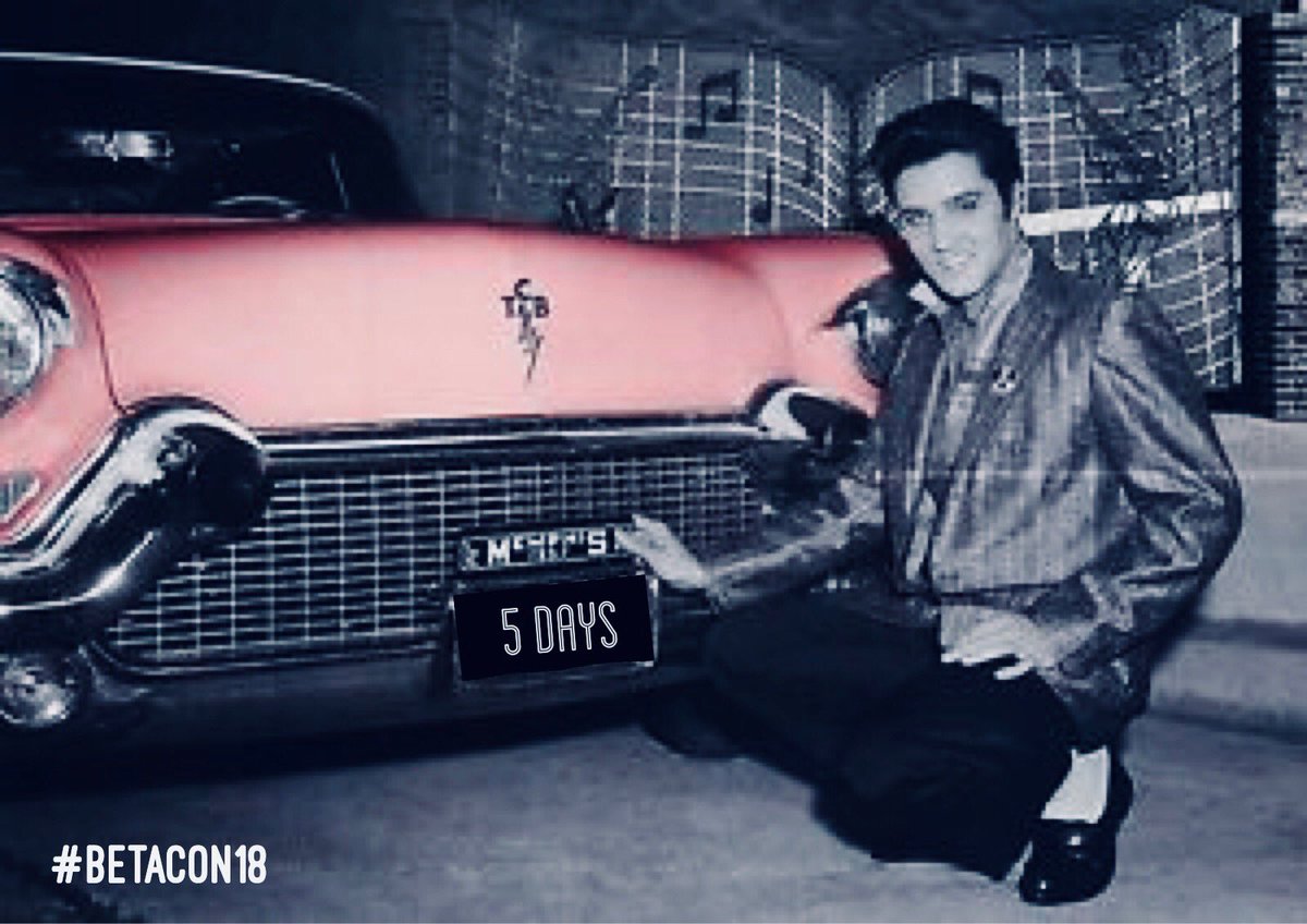 secpresleygrace's tweet photo. Elvis continues the countdown to senior #betacon18 💕 #votepresleygrace https://t.co/c1iSP5juA5