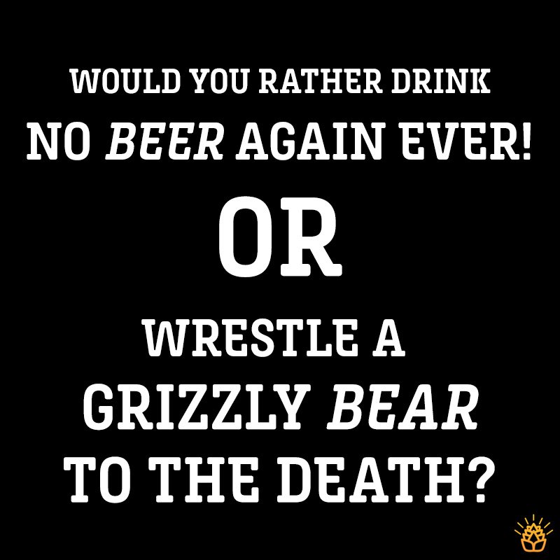 On a serious note, how much do you like beer? #beergeek #nzcraftbeer #questions #beerlovers