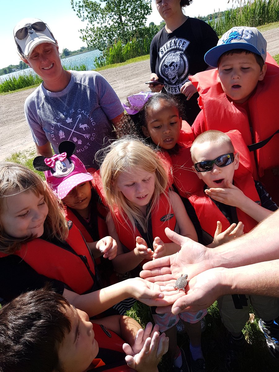 fighting_island's tweet photo. @RosevillePSWind were so observant around the pond today! Saw a couple baby snappers, a baby painted turtle, a northern map turtle, and many, many frogs! An abundance of macroinvertebrates as well! Such a fun day with the gr 1s and 2s learning about nature #curiouskids #gecdsbpr https://t.co/NT9NiMbW7F