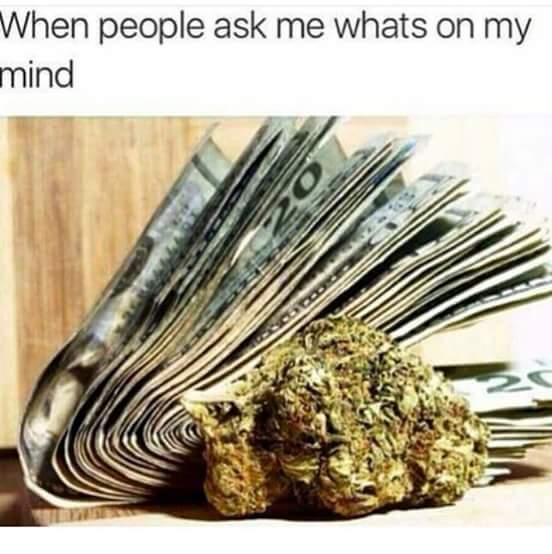 GorgeousDThe1's tweet image. #money #treez