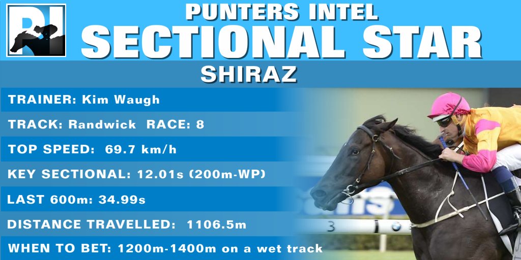 racing_nsw's tweet photo. Shiraz was the only horse all day to break 35 seconds for the last 600m at Randwick on Saturday and his booming finish after being slightly held up in the June Stakes makes him our @nswpuntersintel Sectional Star. There's a win in the eight-year-old this winter. https://t.co/sas0ULjcof