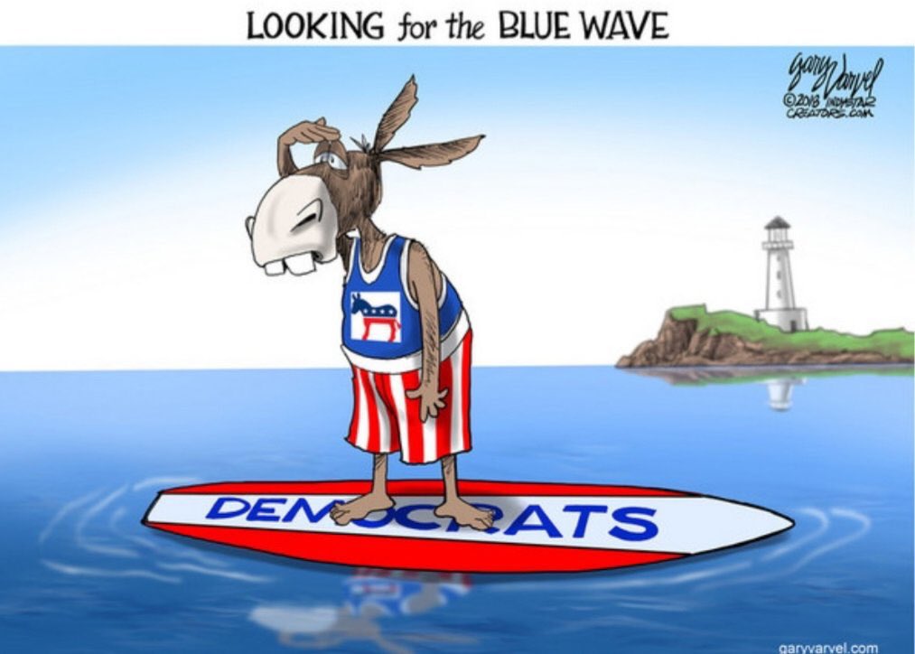 TonyMuscarello1's tweet image. 