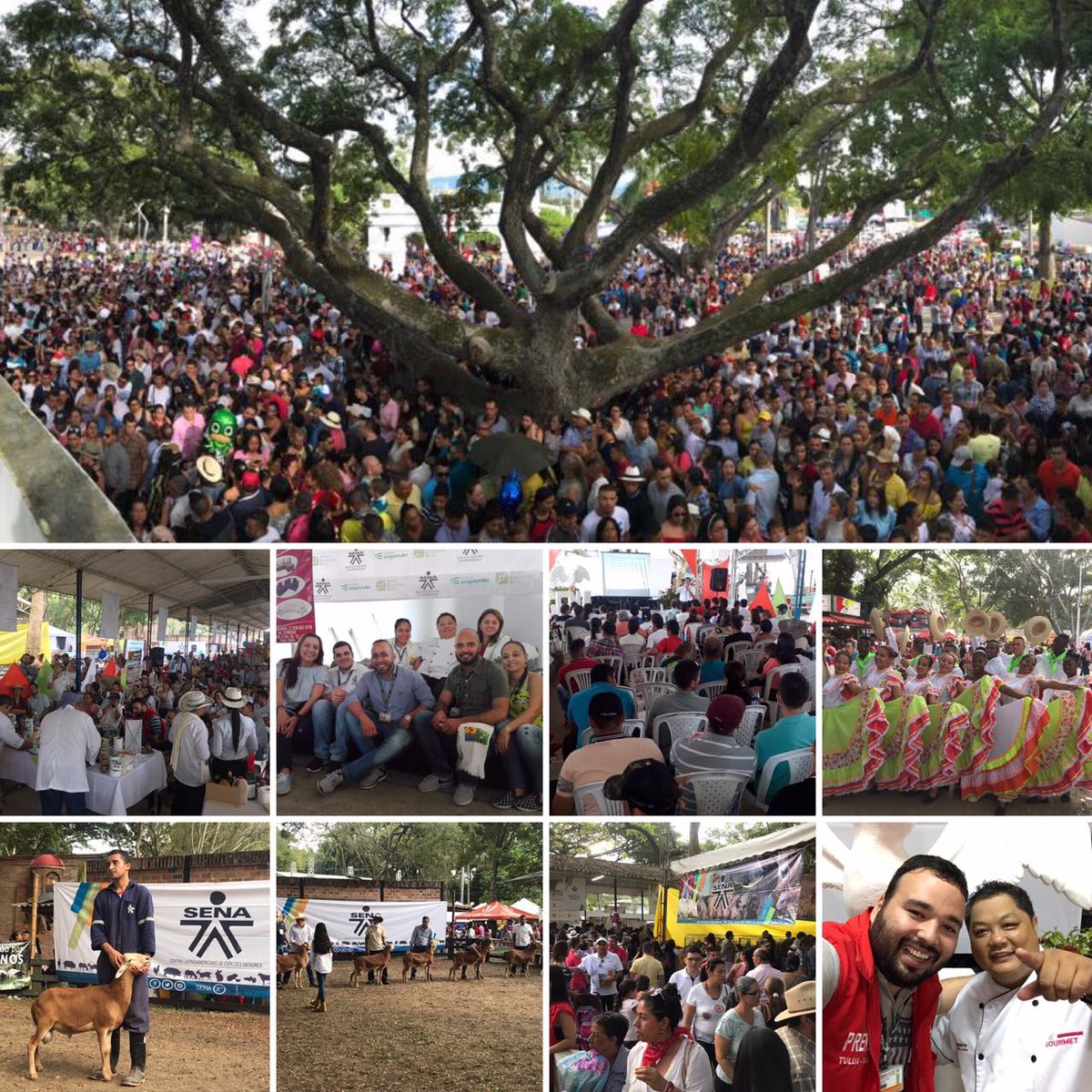 GermansSuarez's tweet photo. Nuestra participación en la edición número LXIII Feria de Tuluá, una muestra más de los éxitos que podemos alcanzar cuanto tenemos un mismo objetivo ¡Lo estamos logrando! #SENACLEM @SENAcomunica @ctrujillosena https://t.co/avSw7QfOd1