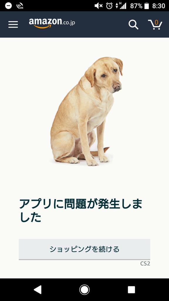 発生 に した Amazon 問題 アプリ が しま