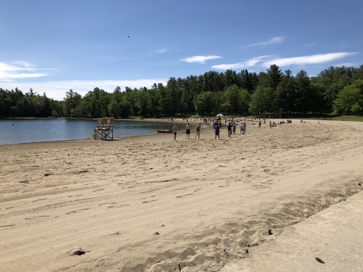 Ms. Freeman tweet media