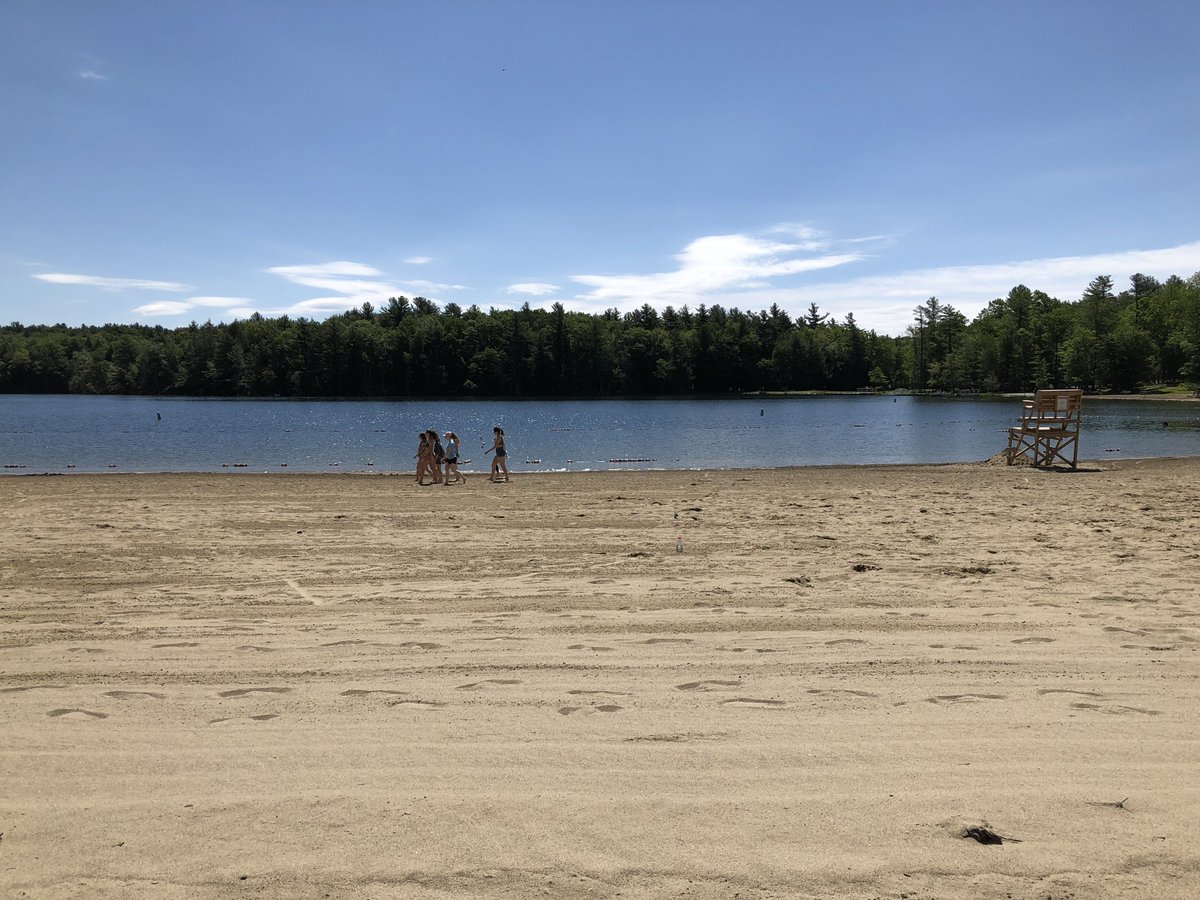 Ms. Freeman tweet media