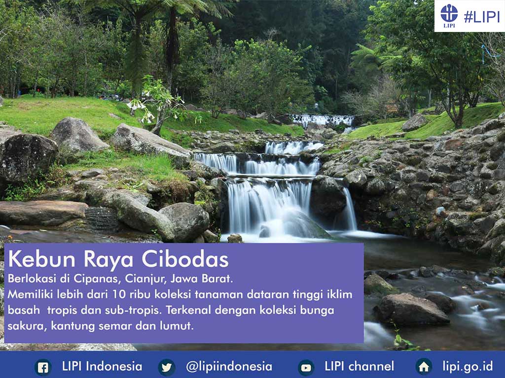 Science Badan Riset dan Inovasi Nasional tweet media