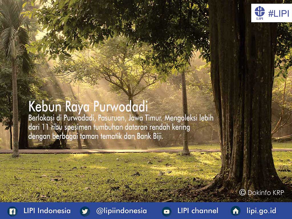 Science Badan Riset dan Inovasi Nasional tweet media
