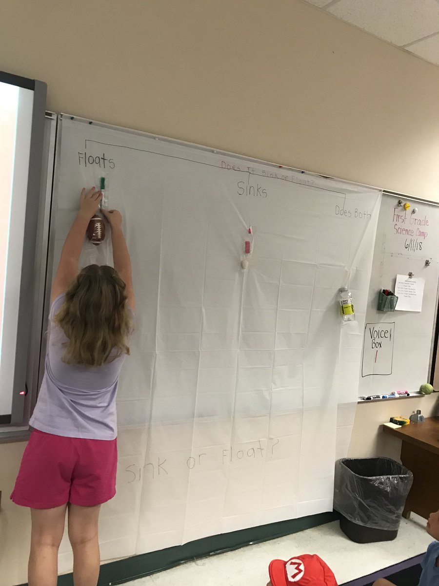 TeachMrsDTeach's tweet photo. Sink or float! Our Firsties loved working together! #SummerScienceInstitute at @The_GESGators @IRCSchools https://t.co/UXKfNraiC2