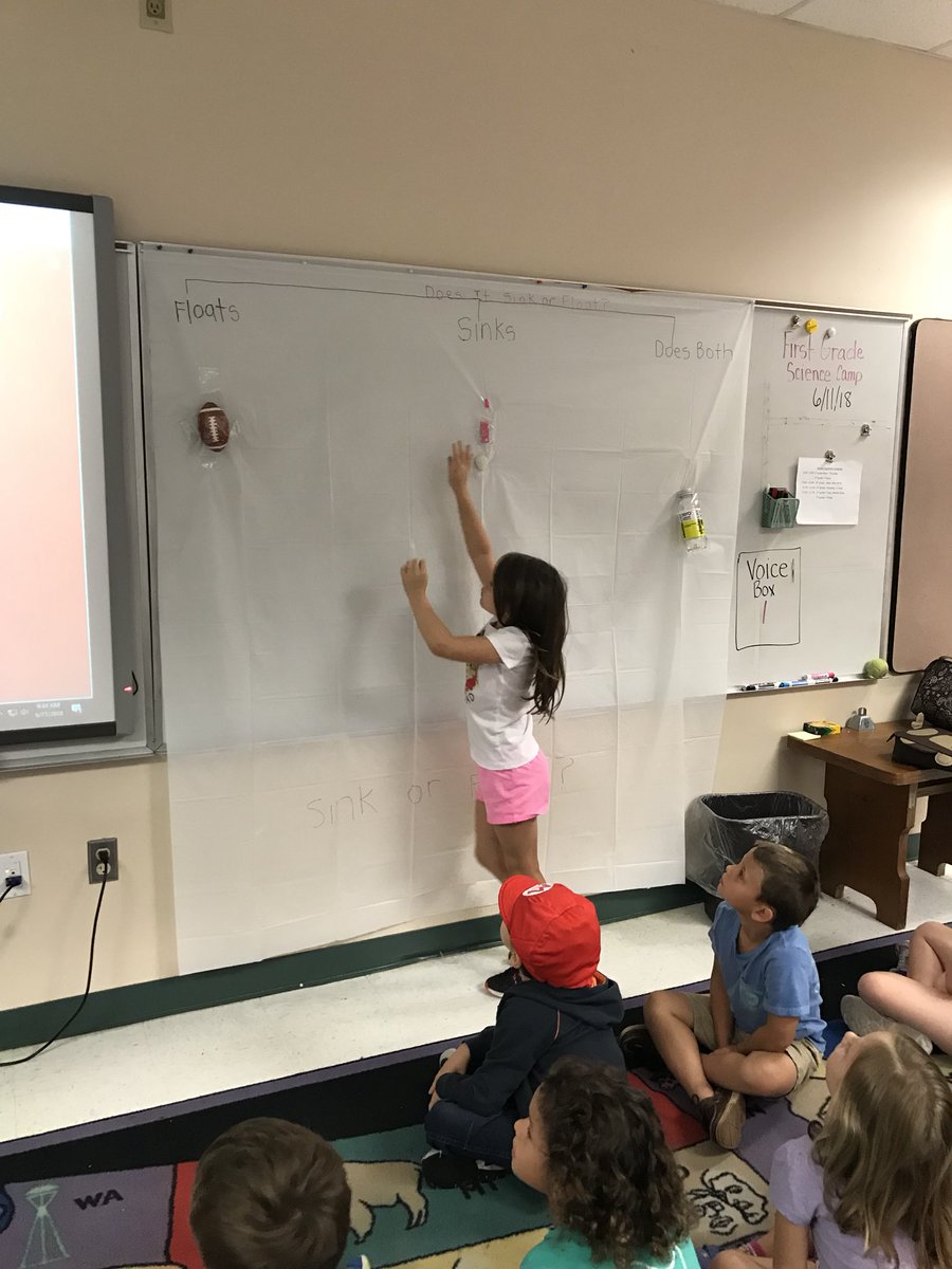 TeachMrsDTeach's tweet photo. Sink or float! Our Firsties loved working together! #SummerScienceInstitute at @The_GESGators @IRCSchools https://t.co/UXKfNraiC2