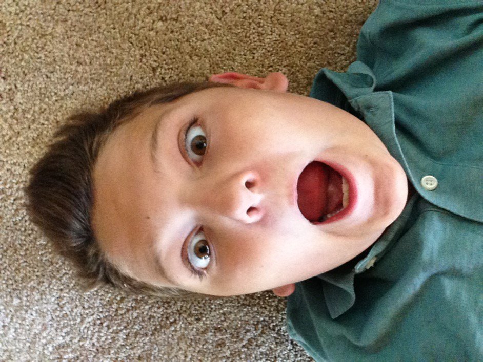 shawbug67's tweet image. 