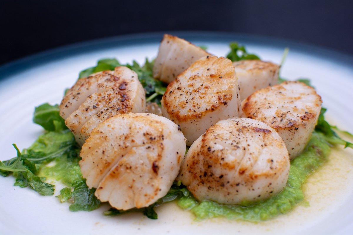 CCO_Photo's tweet photo. We cooked this Sea Scallop with Pea Puree &amp; Grapefruit Arugula salad in under 30 minutes with 13 ingredients. It was delicious!

#CookAtHome #Foodie #FoodPorn #AmateurPhotographer #Foodtography #Omnomnom #Photography #WannabeChef https://t.co/wuGfGtLT4D
