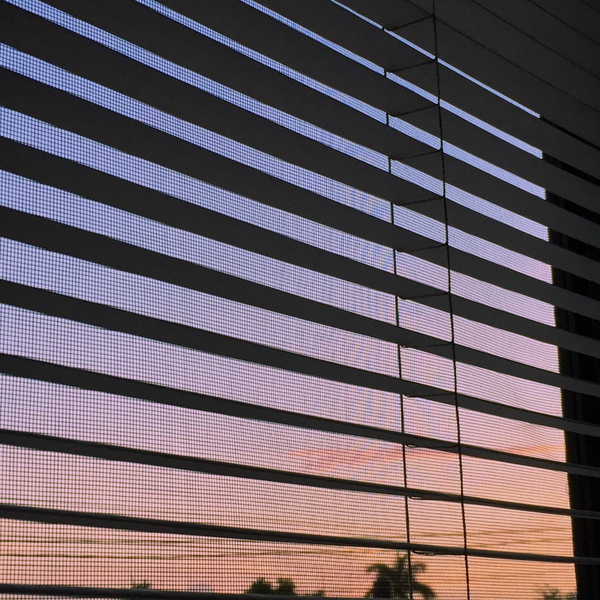 Miré por la ventana para dejar la mente en rosa.