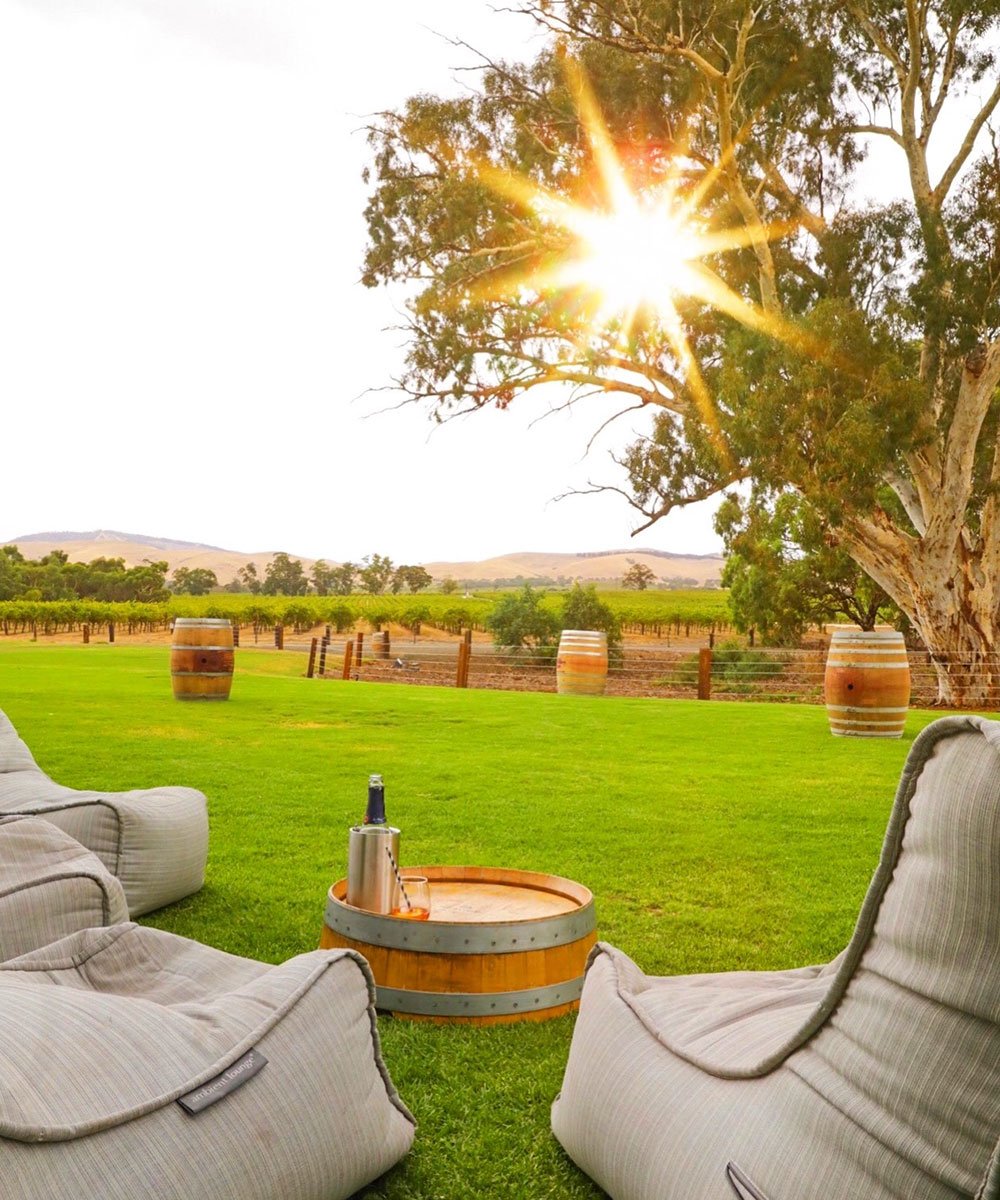 southaustralia's tweet photo. Wine from earth, sky from heaven. The glass is always half full in @MyBarossa, home to tonight’s #MasterChefAU challenge, where @GaryMehigan &amp; the gang dish up the best of @Australia’s wine capital! https://t.co/rNvOYXG6aJ Pics: isaakschiller #SeeSouthAustralia #SouthAustralia https://t.co/BpA3IILZS0