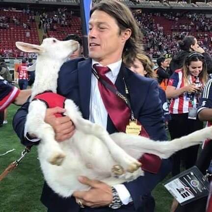 ChivasDeGDL12's tweet photo. ✔️ Evitó descenso
✔️ 🏆 Una Liga MX, "La 12⭐️"
✔️ 🏆🏆 Dos Copa MX 
✔️ Un doblete
✔️ 🏆 Una Supercopa MX
✔️ 🏆 Una Concachampions
✔️ Boleto al 1er Mundial de Clubes para Chivas 
✔️ 7 finales
✔️ Identidad futbolística

¡Gracias por todo Almeyda! 🏆🏆🏆🏆🏆 🇦🇹 https://t.co/xn7CIW4A2b
