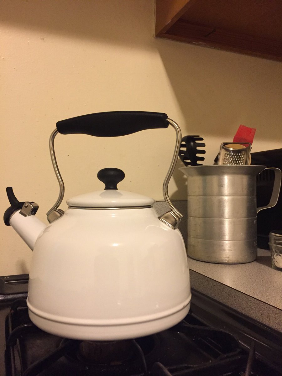 maddiedoctor's tweet photo. this evening I am admiring my beautiful new discount kettle from the @kitchenwitchJP yard sale! #JPLocalFirst :^) https://t.co/wKpJkNbuWs