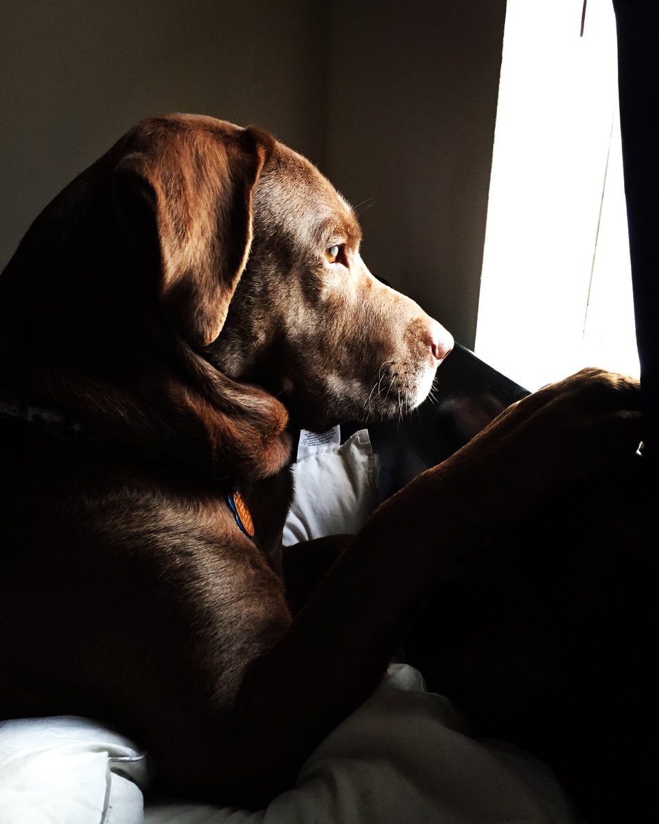 So handsome 😍😩