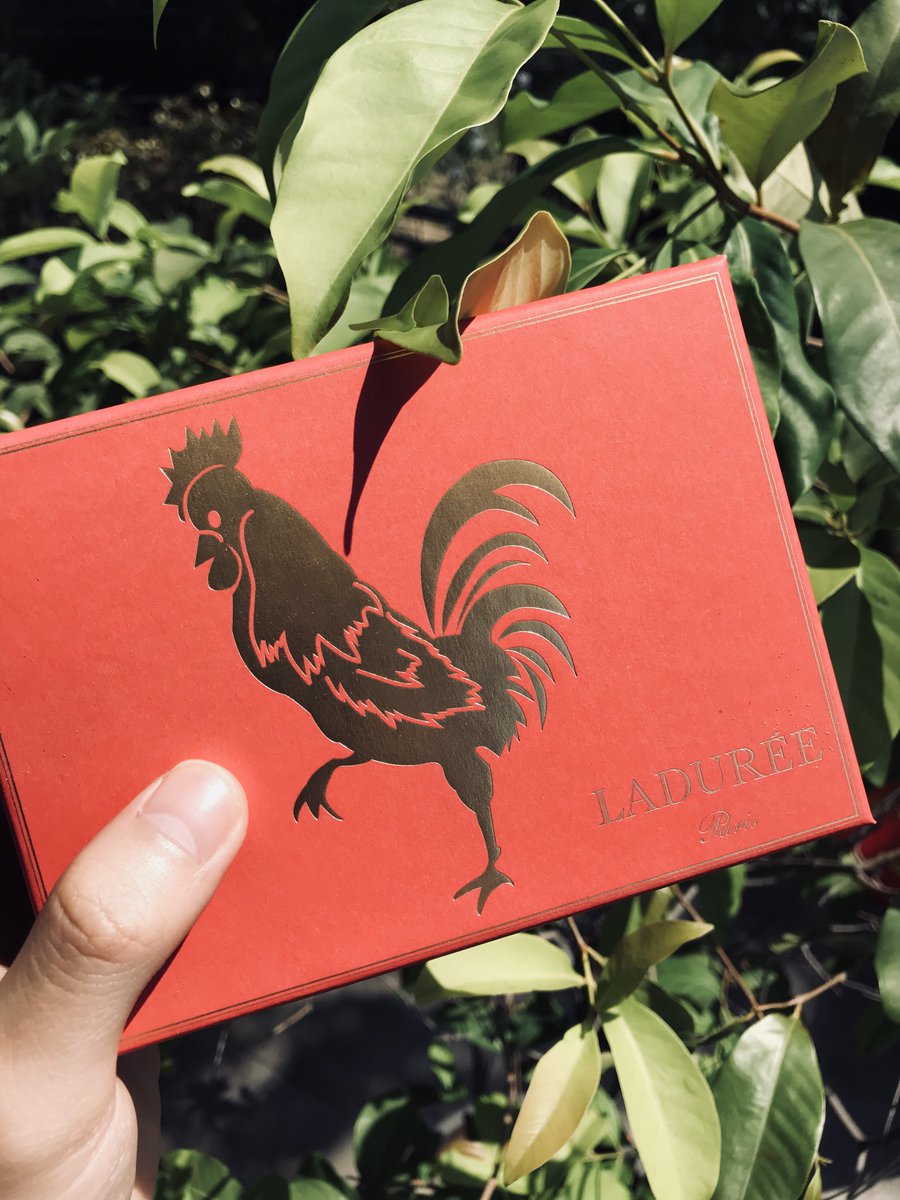 Jerry Tanuwijaya (@jerrytanuwijaya) on Twitter photo 