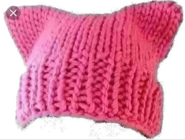 calnino's tweet photo. Was there ever a better hairstyle for the pussy cap?! https://t.co/bTiAzxzGja