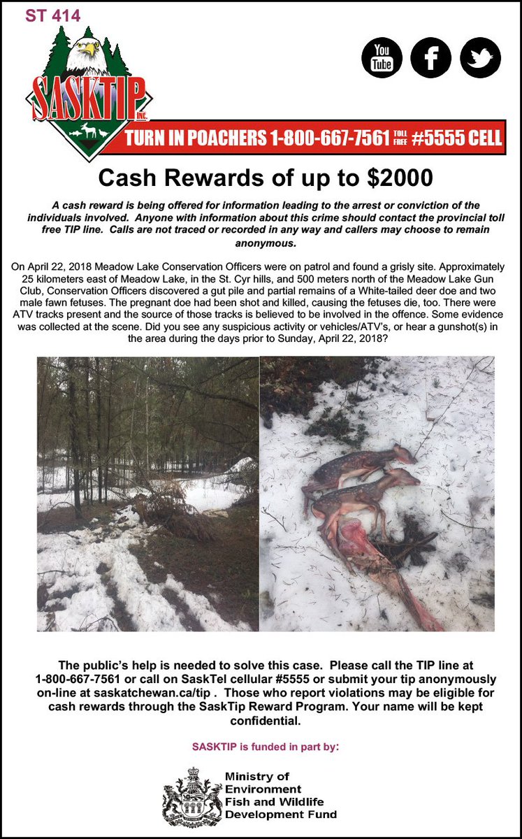 Sasktip's tweet image. WARNING:GRAPHIC CONTENT. DISCRETION ADVISED. Meadow Lake CO's need your help to solve the latest case. If you have any info call the toll-free TIP Line 1-800-667-7561 #sktip