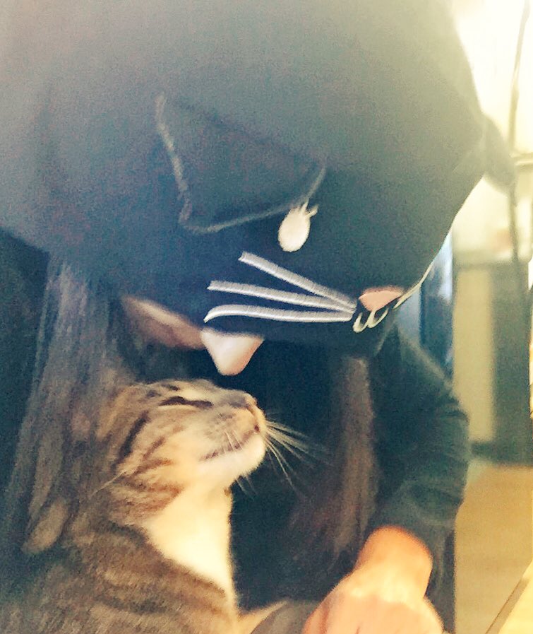ClaudB4177's tweet photo. Koala & I feel the responsibility to point out to @GeneralHospital that cats & robes are very cool...and if it is a cat robe, even cooler. #SingleAF #isurrender #buthelovesme @finolahughes #michaeleaston #fanna https://t.co/M4J5AAu8ip